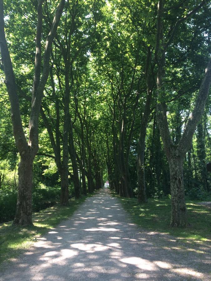 Chambre Atypique 2 Pers 200M Du Lac Saint-Jorioz ภายนอก รูปภาพ
